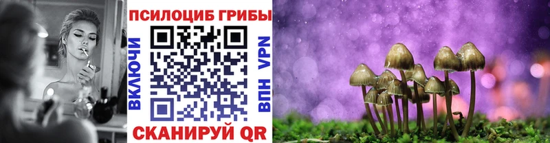 Галлюциногенные грибы MAGIC MUSHROOMS Мичуринск