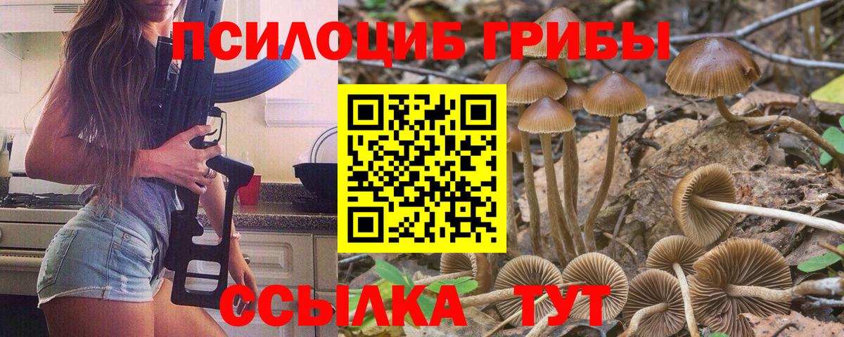 Галлюциногенные грибы Cubensis Мичуринск