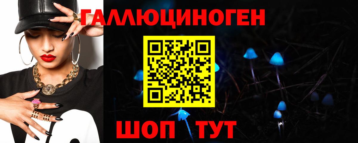 Псилоцибиновые грибы MAGIC MUSHROOMS  Вход с VPN  Мичуринск 